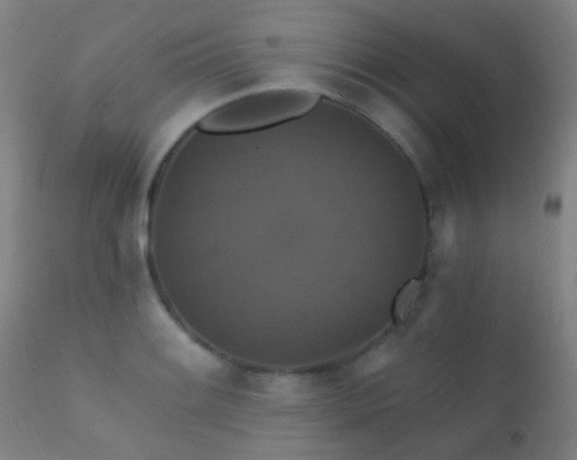 X0000112201084200908141428
