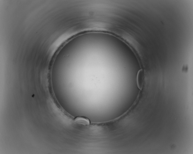 X0000112201085200908141428