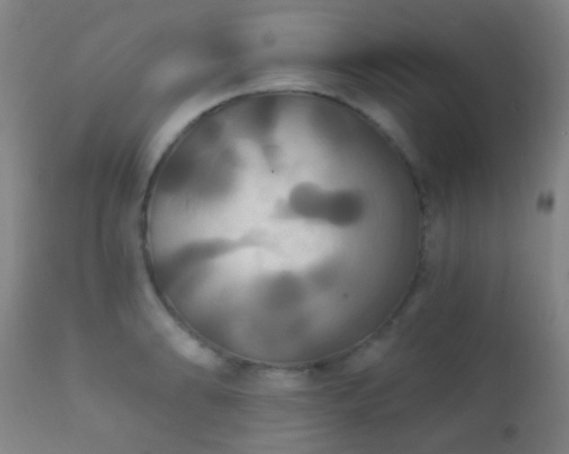 X0000112201086200908141428
