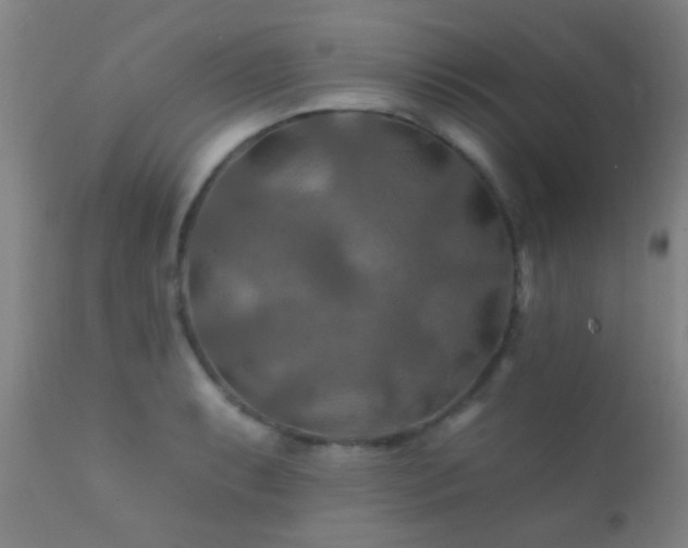 X0000112201087200908141428