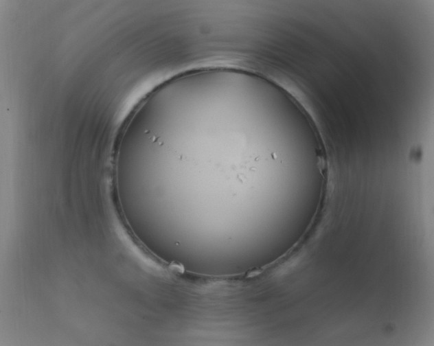 X0000112201093200908141428