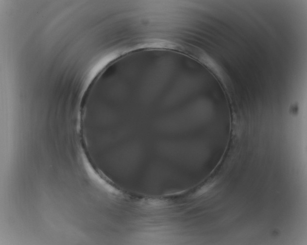 X0000112201095200908141428
