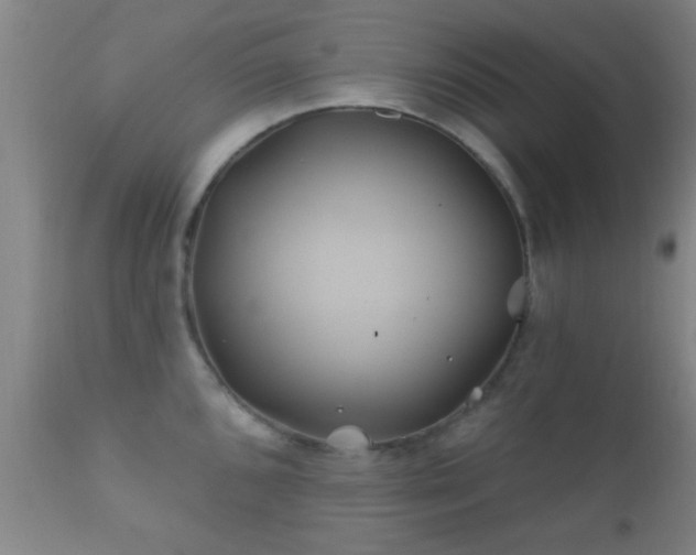 X0000112201096200908141428