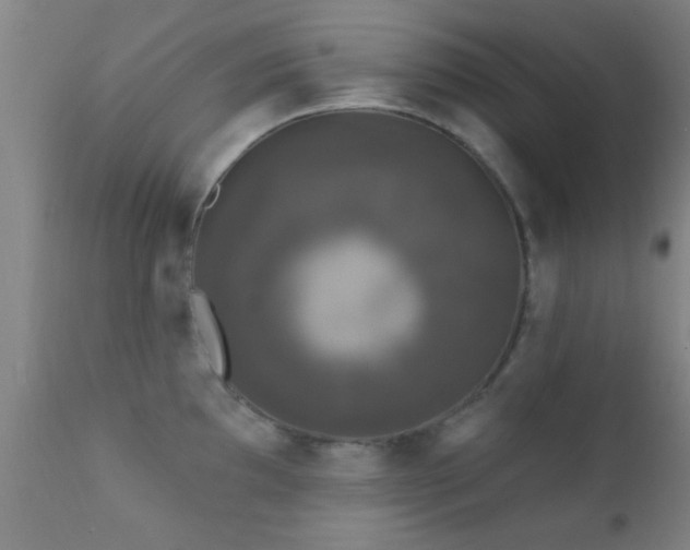 X0000112201097200908141428