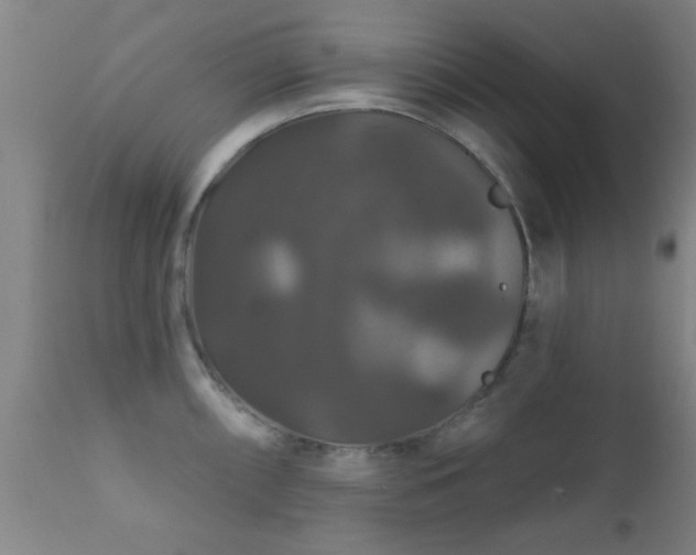 X0000112201098200908141428