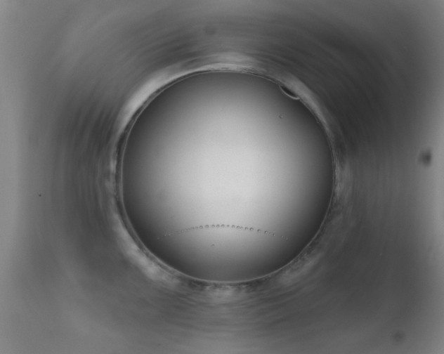 X0000112201099200908141428