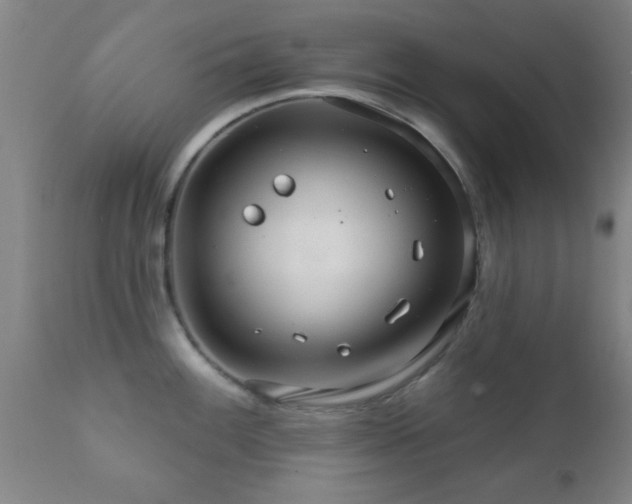 X0000112201100200908141428