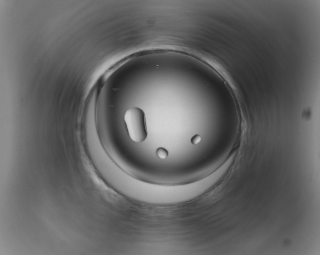 X0000112201101200908141428
