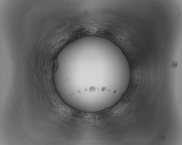 X0000112201105200908141427