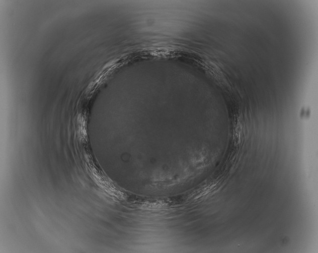 X0000112201106200908141427