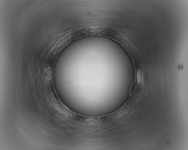 X0000112201107200908141427