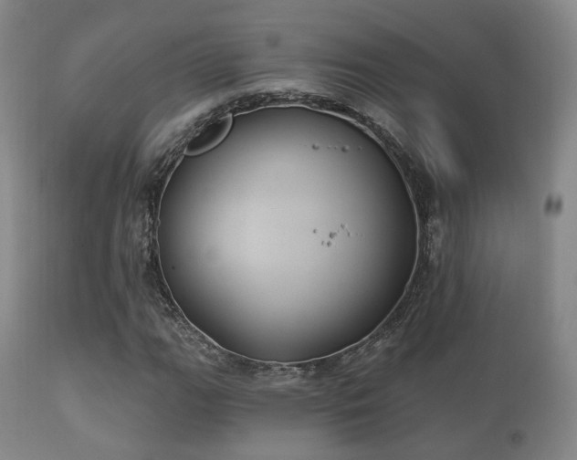 X0000112201111200908141427