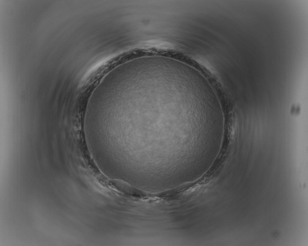 X0000112201112200908141427
