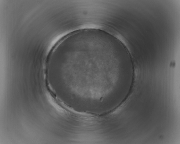 X0000112201124200908141427