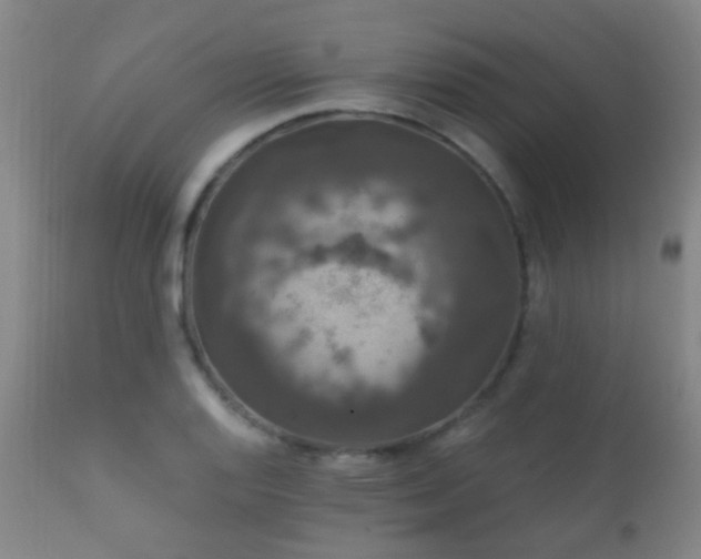 X0000112201128200908141427