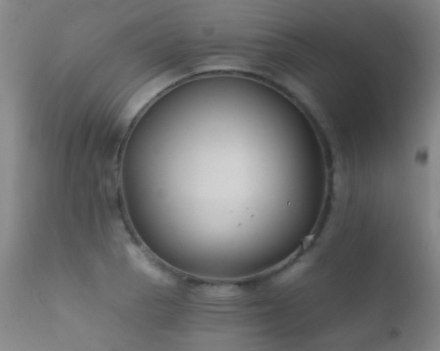 X0000112201129200908141427