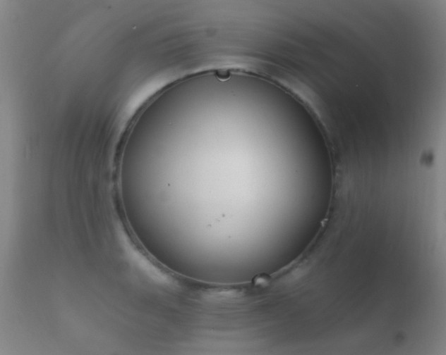 X0000112201135200908141427