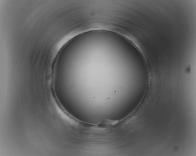 X0000112201143200908141428
