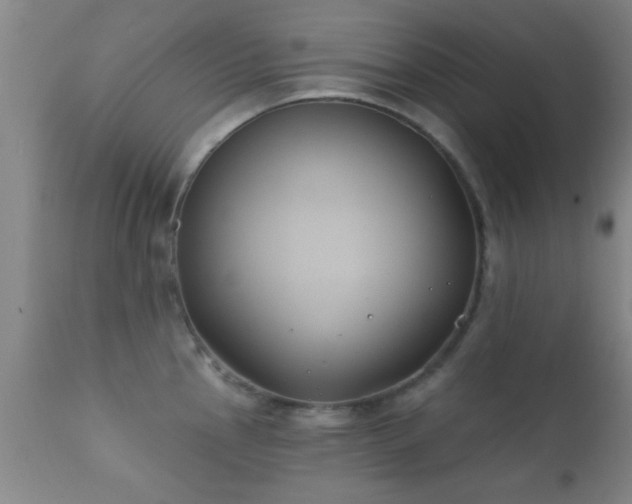X0000112201145200908141428