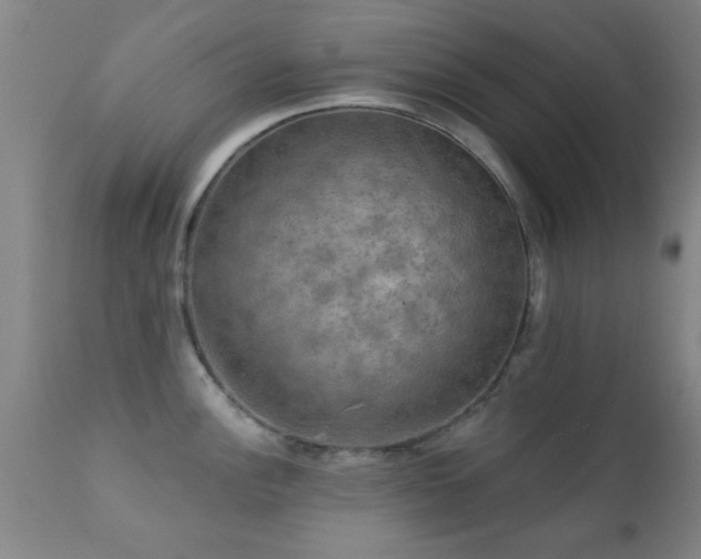 X0000112201148200908141428