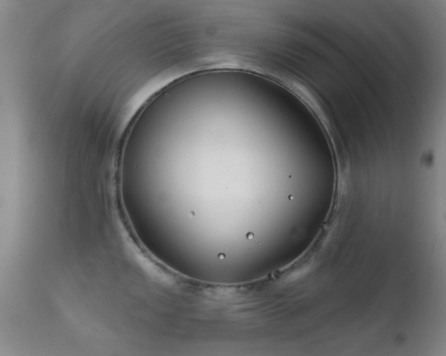 X0000112201149200908141428