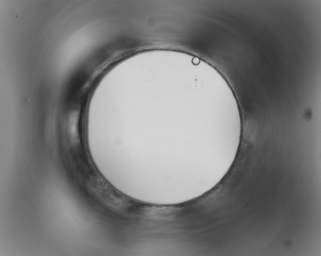 X0000112201150200908141428