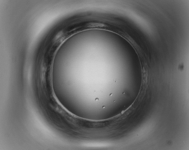 X0000112201151200908141428