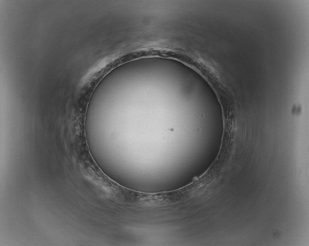 X0000112201159200908141427