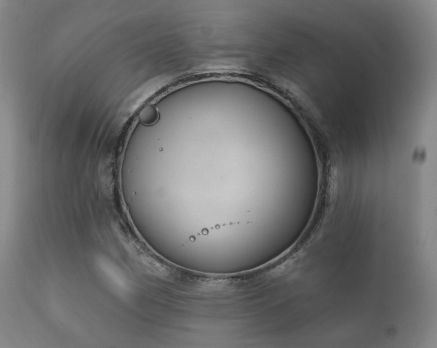 X0000112201162200908141427