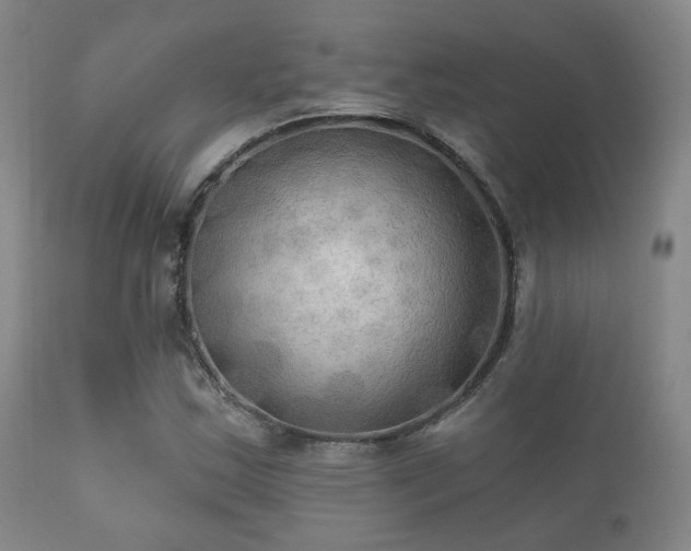 X0000112201163200908141427