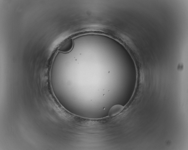 X0000112201164200908141427