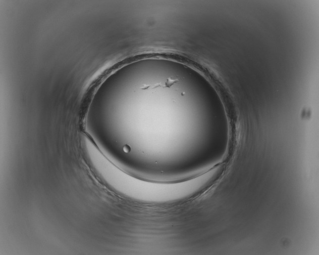 X0000112201165200908141427