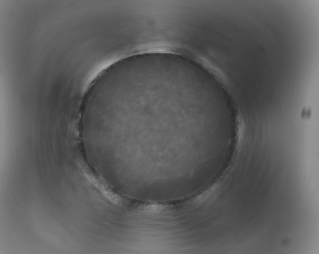 X0000112201166200908141427