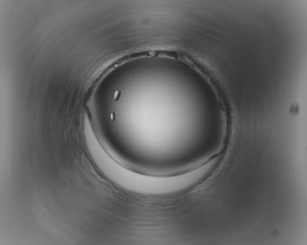 X0000112201169200908141427