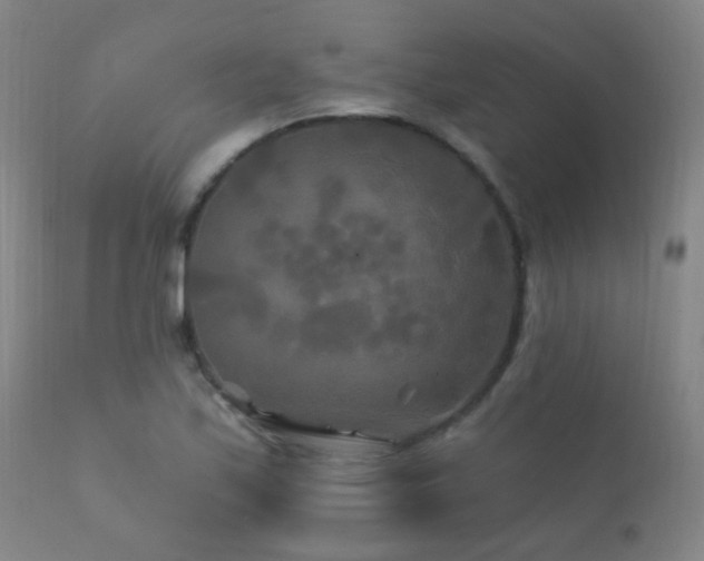 X0000112201171200908141427