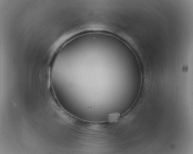 X0000112201175200908141427