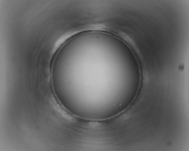 X0000112201176200908141426