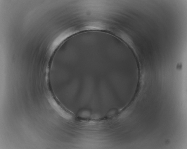 X0000112201179200908141426