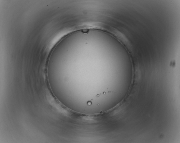 X0000112201182200908141426