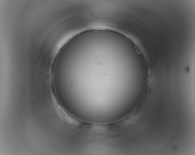 X0000112201191200908141426