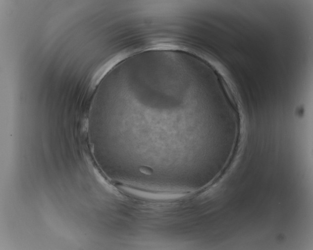 X0000112201193200908141426
