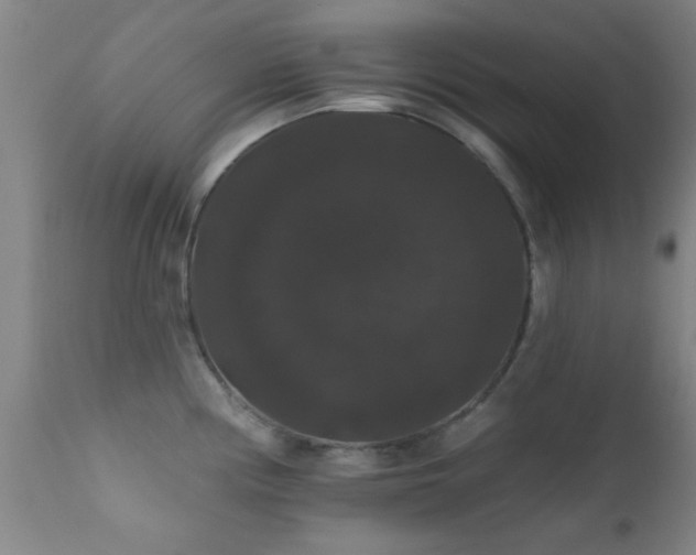 X0000112201194200908141426