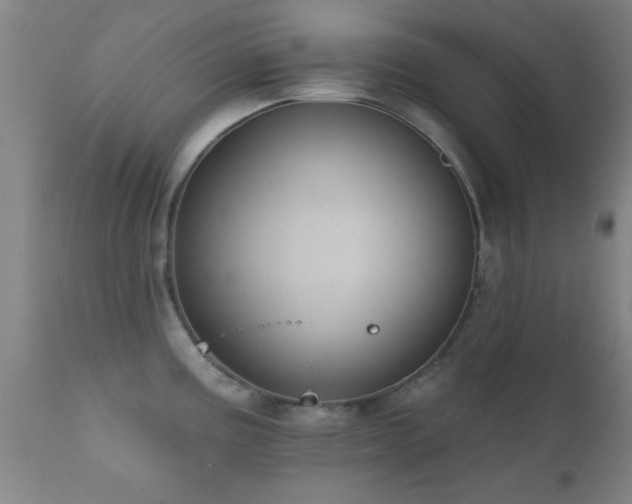 X0000112201195200908141426