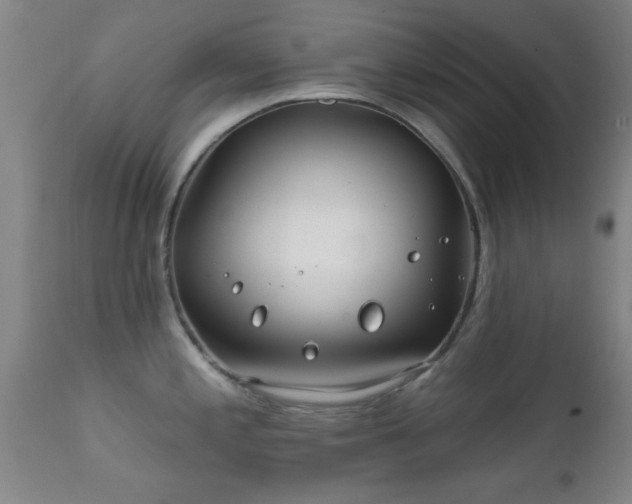 X0000112201197200908141426