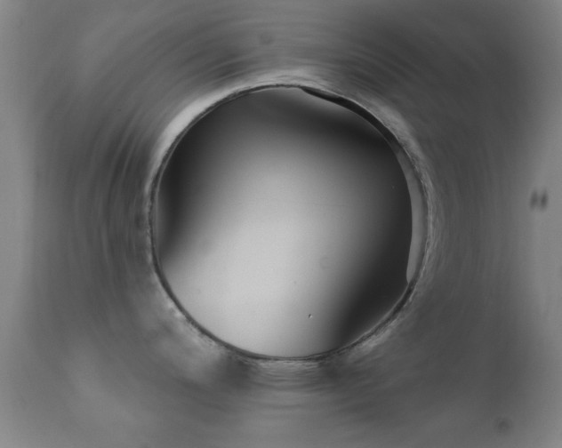 X0000112201200200908141426