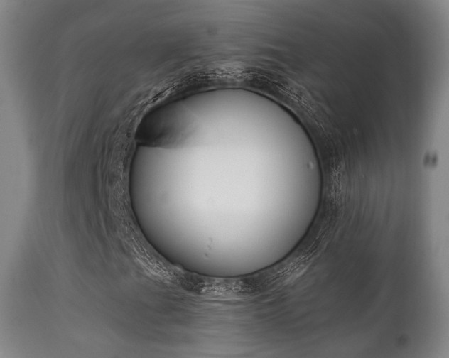 X0000112201201200908141426