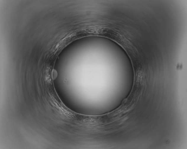 X0000112201202200908141426