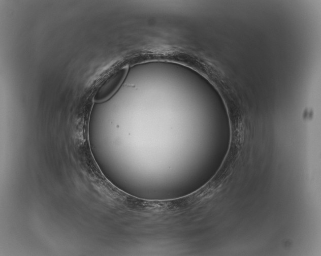 X0000112201205200908141426
