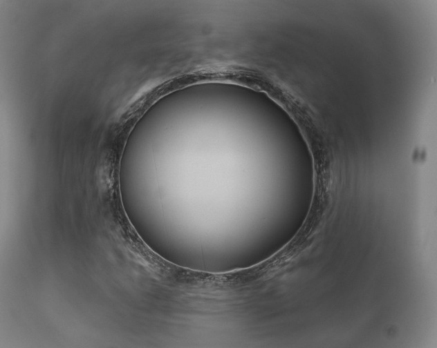 X0000112201206200908141426