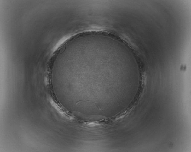 X0000112201208200908141426